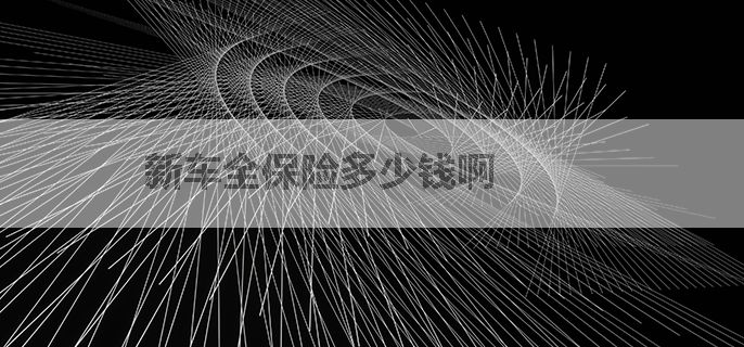 新车全保险多少钱啊