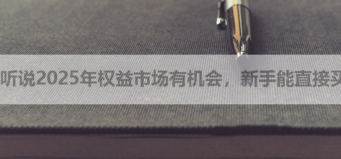 听说2025年权益市场有机会，新手能直接买股票吗？