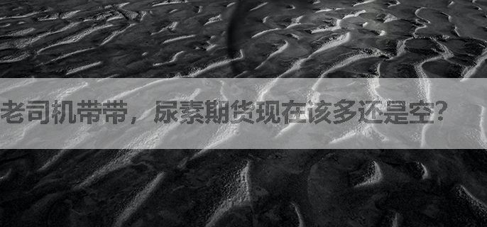 老司机带带，尿素期货现在该多还是空？