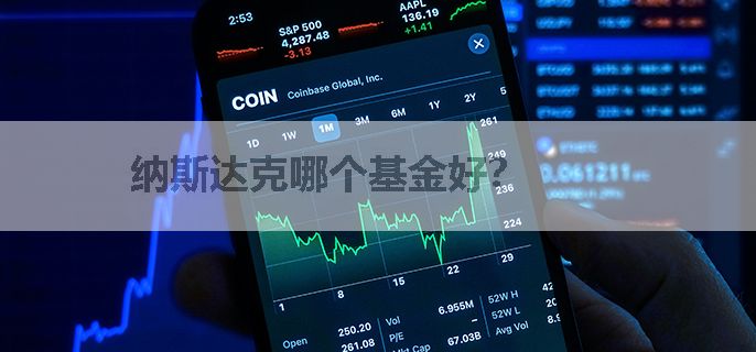 纳斯达克哪个基金好？