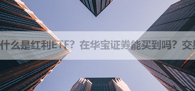 什么是红利ETF？在华宝证券能买到吗？交易手续费要多少？