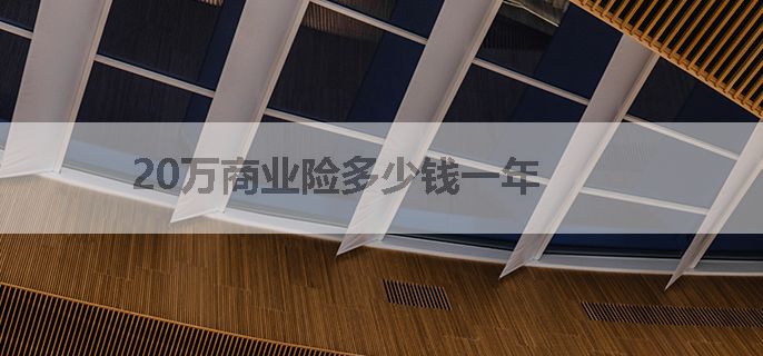 20万商业险多少钱一年
