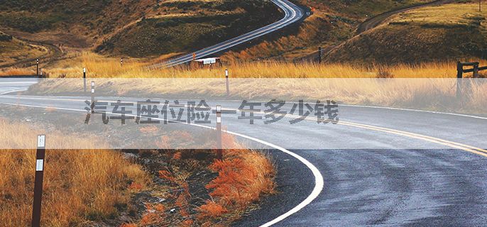 汽车座位险一年多少钱