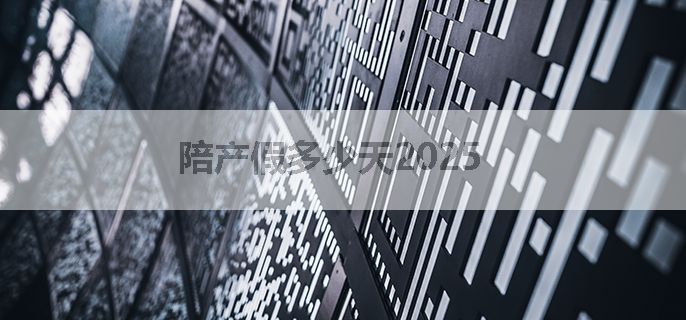 陪产假多少天2025