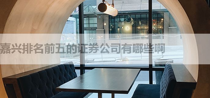 嘉兴排名前五的证券公司有哪些啊