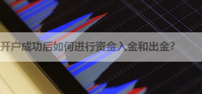 开户成功后如何进行资金入金和出金？