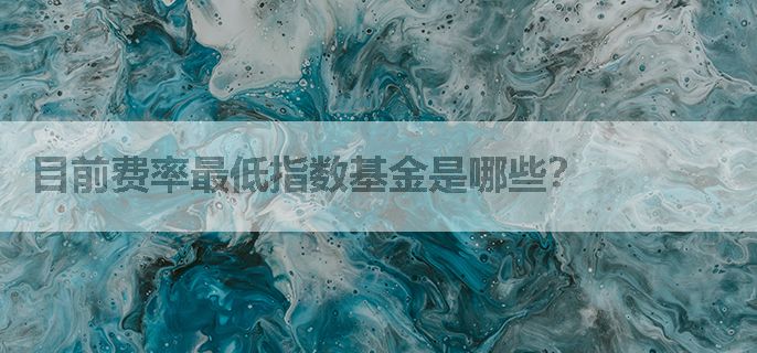目前费率最低指数基金是哪些？