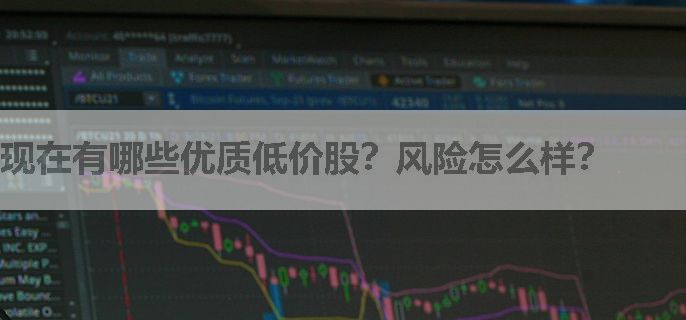 现在有哪些优质低价股？风险怎么样？