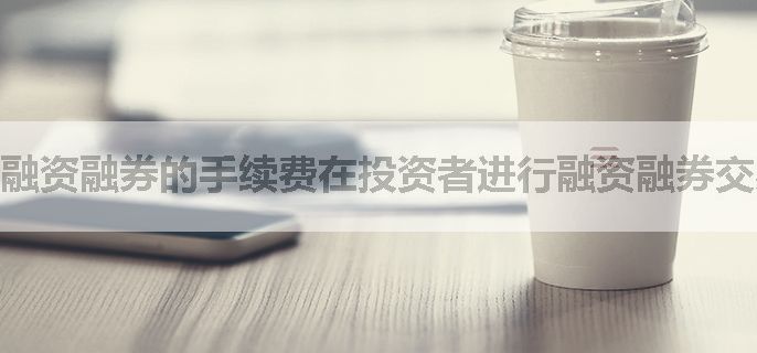 融资融券的手续费在投资者进行融资融券交易的结算过程中，是如何体现和处理的？