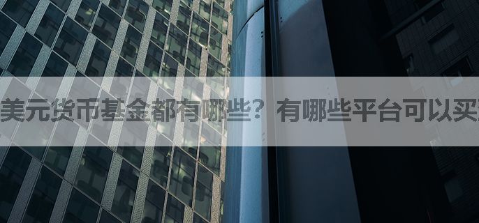 美元货币基金都有哪些？有哪些平台可以买到？