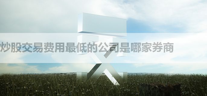 炒股交易费用最低的公司是哪家券商
