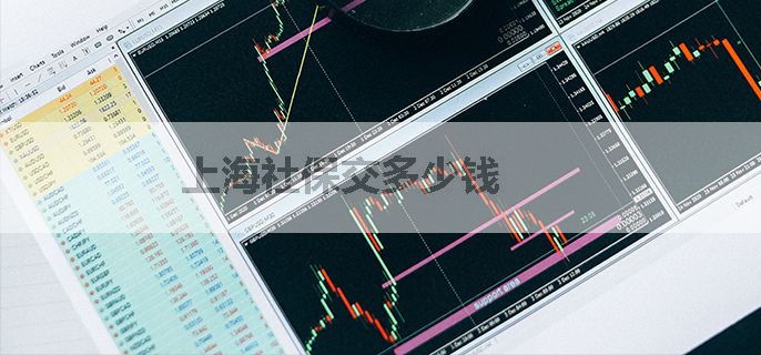 上海社保交多少钱