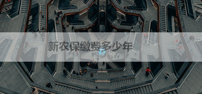 新农保缴费多少年