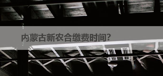 内蒙古新农合缴费时间？
