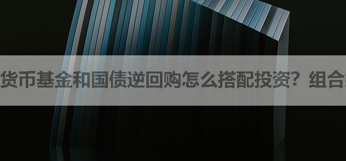 货币基金和国债逆回购怎么搭配投资？组合技巧