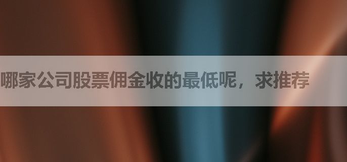 哪家公司股票佣金收的最低呢，求推荐