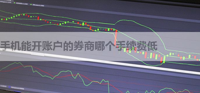 手机能开账户的券商哪个手续费低