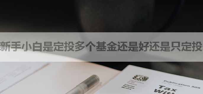 新手小白是定投多个基金还是好还是只定投一只好？