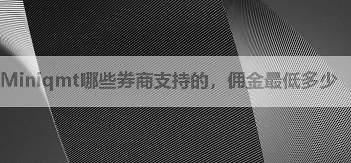 Miniqmt哪些券商支持的，佣金最低多少