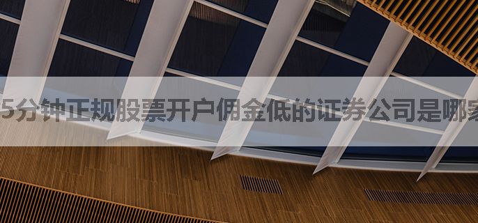 5分钟正规股票开户佣金低的证券公司是哪家，线上开户流程