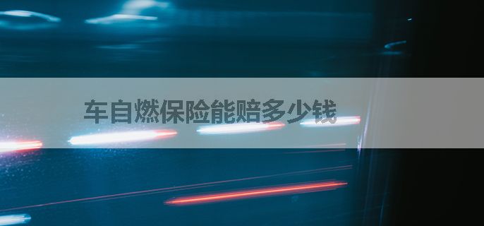 车自燃保险能赔多少钱