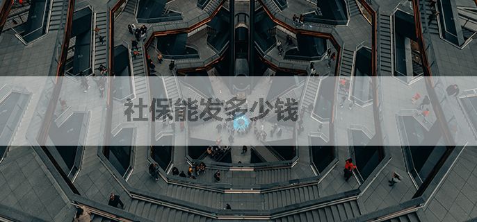 社保能发多少钱