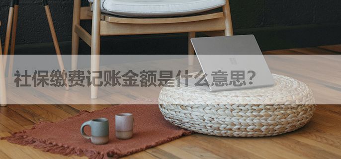 社保缴费记账金额是什么意思？