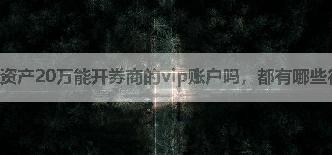 资产20万能开券商的vip账户吗，都有哪些待遇