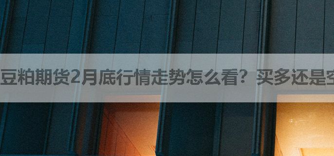 豆粕期货2月底行情走势怎么看？买多还是空？