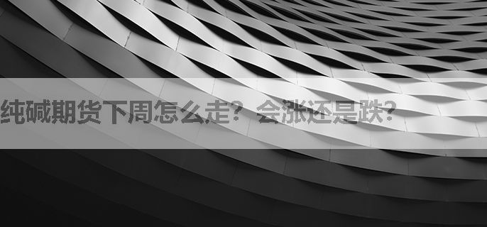 纯碱期货下周怎么走？会涨还是跌？