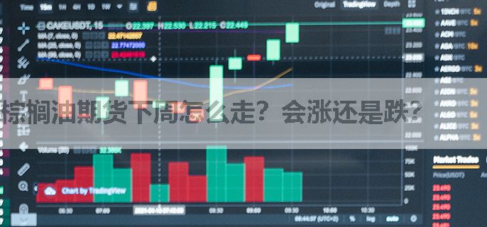棕榈油期货下周怎么走？会涨还是跌？