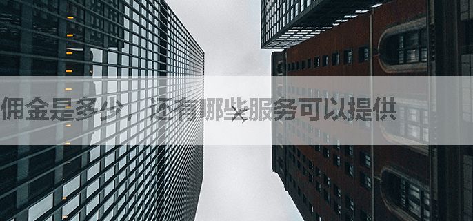 佣金是多少，还有哪些服务可以提供
