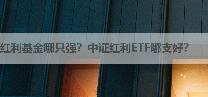 红利基金哪只强？中证红利ETF哪支好？