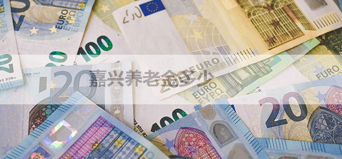 嘉兴养老金多少