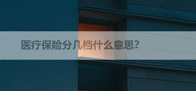 医疗保险分几档什么意思？