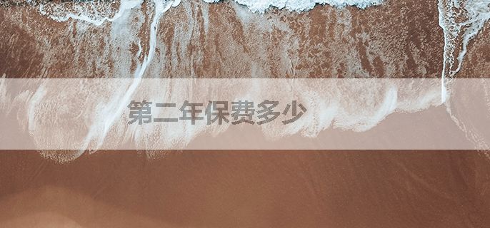 第二年保费多少