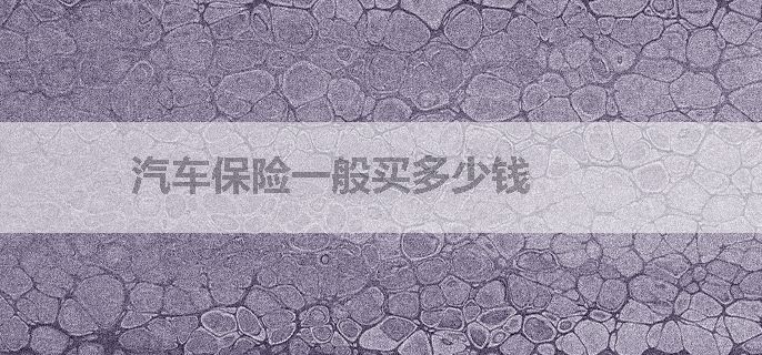 汽车保险一般买多少钱