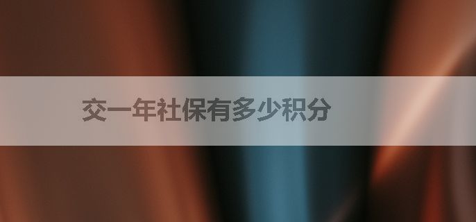 交一年社保有多少积分