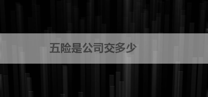 五险是公司交多少