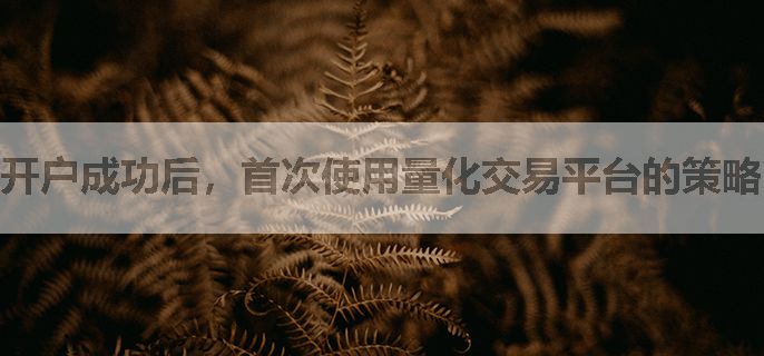 开户成功后，首次使用量化交易平台的策略回测结果的可视化展示工具，如何进行定制化展示？