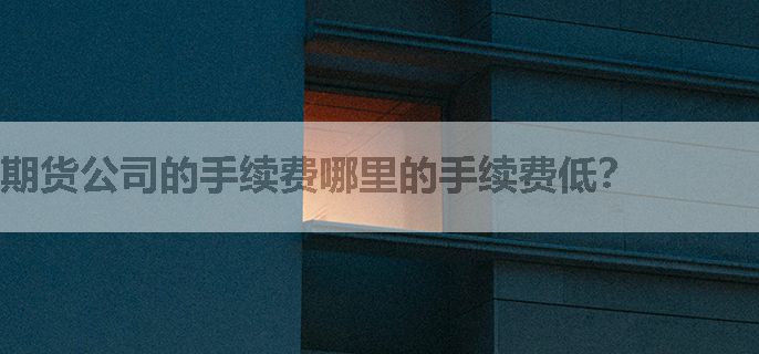 期货公司的手续费哪里的手续费低？