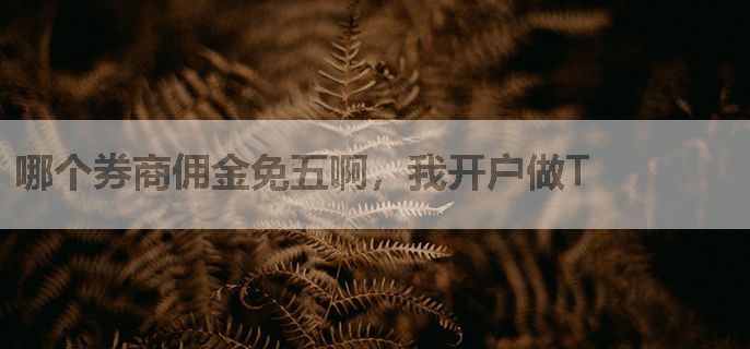 哪个券商佣金免五啊，我开户做T