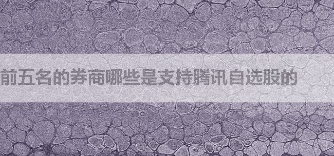 前五名的券商哪些是支持腾讯自选股的