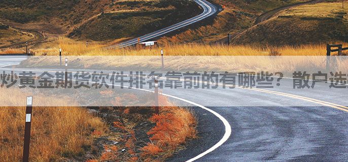 炒黄金期货软件排名靠前的有哪些？散户选择哪家好？