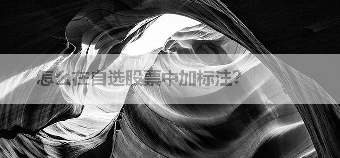 怎么在自选股票中加标注？