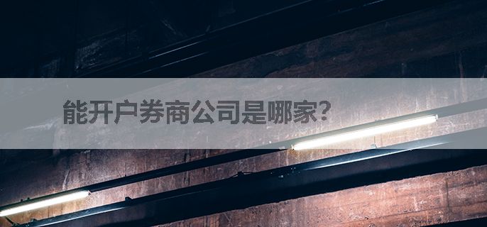 能开户券商公司是哪家？