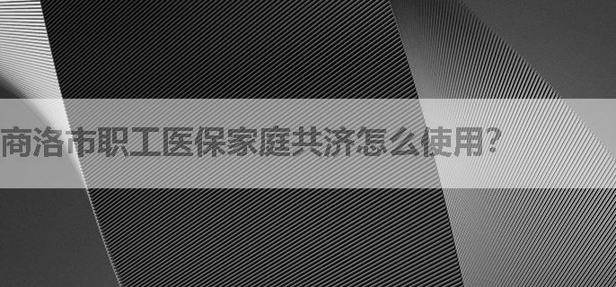 商洛市职工医保家庭共济怎么使用？