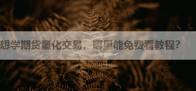 想学期货量化交易，哪里能免费看教程？