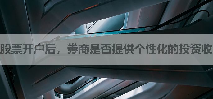 股票开户后，券商是否提供个性化的投资收益分析和报告？