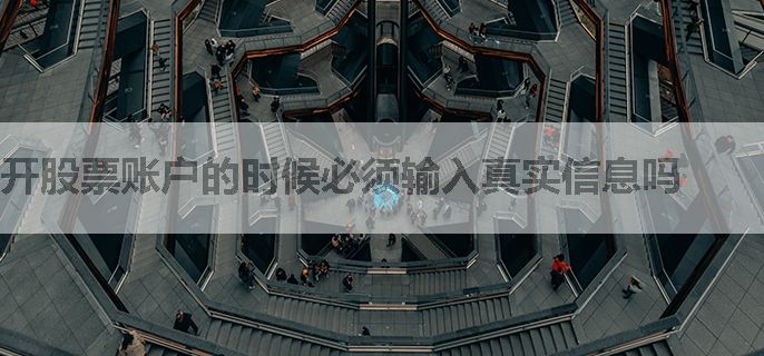 开股票账户的时候必须输入真实信息吗